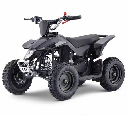 저렴한 49cc ATV 체인 변속기와 차차 잠금 없이
