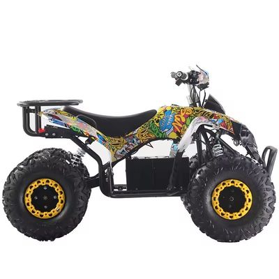 1000W/1500W ATV 쿼드 Ft 디스크 Rr 디스크 브레이크