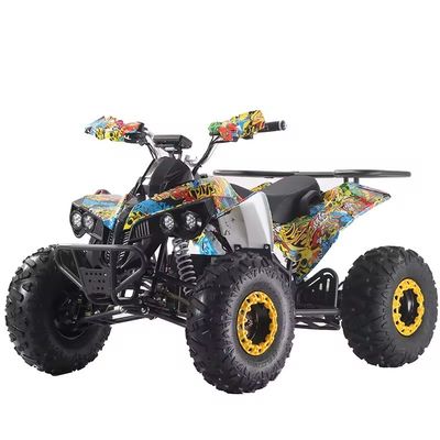1000W/1500W ATV 쿼드 Ft 디스크 Rr 디스크 브레이크