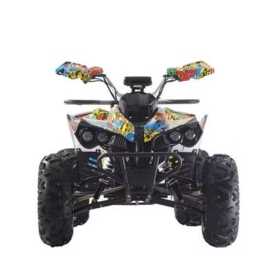 1000W/1500W ATV 쿼드 Ft 디스크 Rr 디스크 브레이크