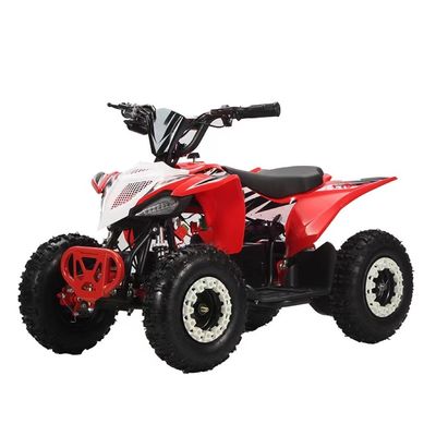2WD 아오툰 모터 800w1000W 36V 오프로드 쿼드 ATV 쿼드 자전거 체인 변속기와 함께