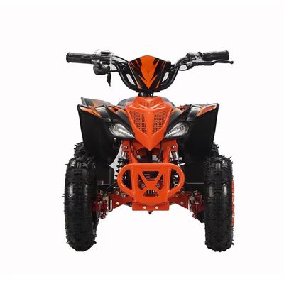 2WD 아오툰 모터 800w1000W 36V 오프로드 쿼드 ATV 쿼드 자전거 체인 변속기와 함께
