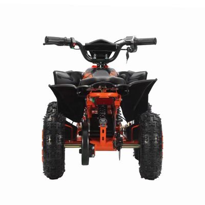 2WD 아오툰 모터 800w1000W 36V 오프로드 쿼드 ATV 쿼드 자전거 체인 변속기와 함께