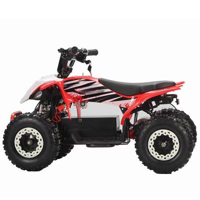 2WD 아오툰 모터 800w1000W 36V 오프로드 쿼드 ATV 쿼드 자전거 체인 변속기와 함께