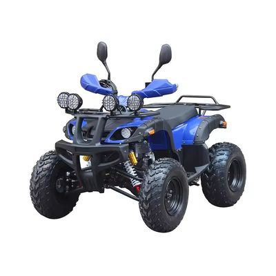 최대 토크 Nm ≤20Nm 4륜 오프로드 ATV 모터 250cc 휠베이스 600-1000mm