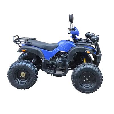 최대 토크 Nm ≤20Nm 4륜 오프로드 ATV 모터 250cc 휠베이스 600-1000mm