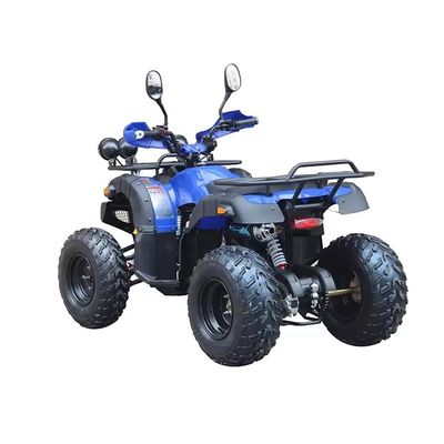 최대 토크 Nm ≤20Nm 4륜 오프로드 ATV 모터 250cc 휠베이스 600-1000mm