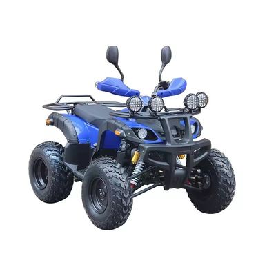 최대 토크 Nm ≤20Nm 4륜 오프로드 ATV 모터 250cc 휠베이스 600-1000mm