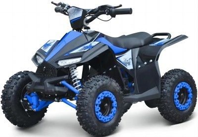 최대 토크 40-60Nm 1000W 전기 사이드 바이 사이드 ATV