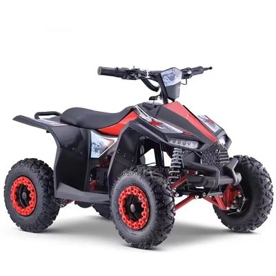 최대 토크 40-60Nm 1000W 전기 사이드 바이 사이드 ATV