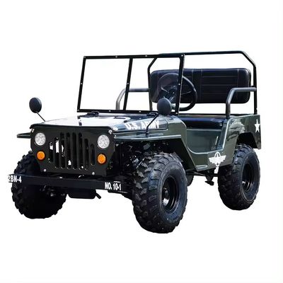 키즈 고카트 최대 토크 60-80Nm 48V 전압 미니 고카트 전기 덩굴 버그