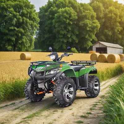 250cc 레이싱 ATV 자동 변속기와 150-200mm 최소 클리어먼스