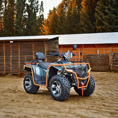 맞춤형 색상 2024 농장 쿼드 300cc 4x4 큰 전력 유틸리티 ATV 등급 능력