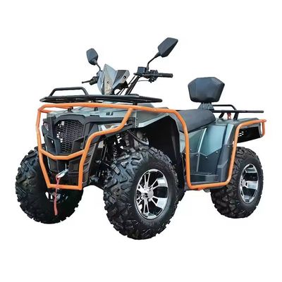 맞춤형 색상 2024 농장 쿼드 300cc 4x4 큰 전력 유틸리티 ATV 등급 능력
