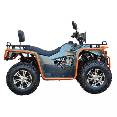 맞춤형 색상 2024 농장 쿼드 300cc 4x4 큰 전력 유틸리티 ATV 등급 능력