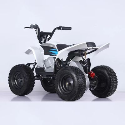 350W 미니 전기 ATV 사륜자전거 1000W 36V 12Ah 쿼드바이크 5-7h 충전 시간