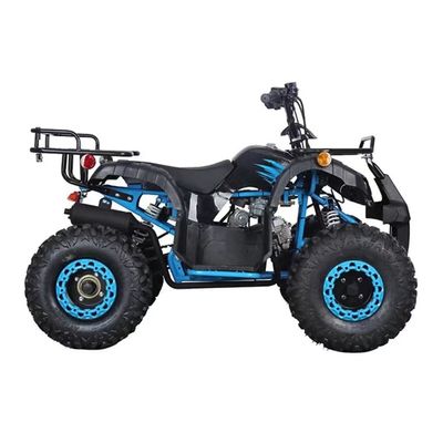 CE 인증 110cc 125cc 큰 힘 농장 쿼드 자전거
