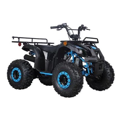 CE 인증 110cc 125cc 큰 힘 농장 쿼드 자전거
