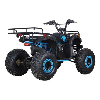 CE 인증 110cc 125cc 큰 힘 농장 쿼드 자전거