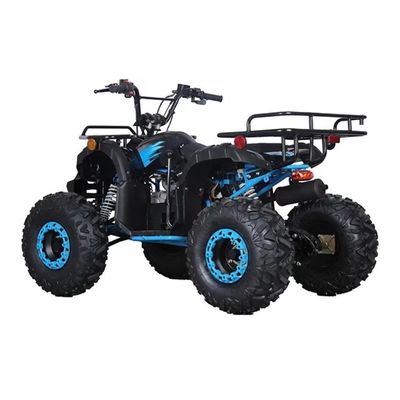 CE 인증 110cc 125cc 큰 힘 농장 쿼드 자전거