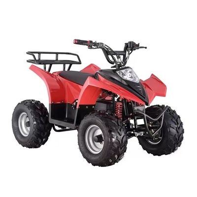 최대 토크 ≤20Nm 750W 어린이용 미니 ATV 빨간색/나 파란색/검은색/녹색/노란색