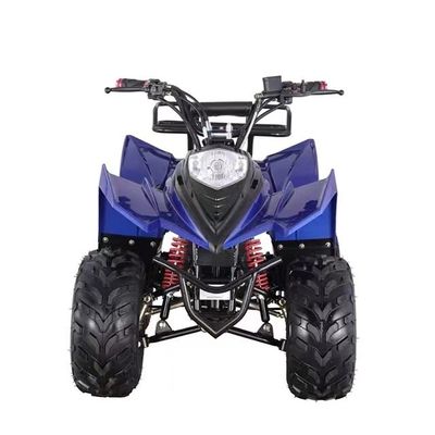 최대 토크 ≤20Nm 750W 어린이용 미니 ATV 빨간색/나 파란색/검은색/녹색/노란색