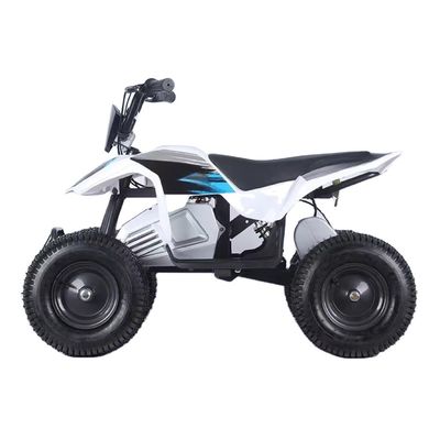 어린이용 350W 전기 쿼드 최대 속도 ≤50Km/h 13X5.0-6 타이어 제어 용이