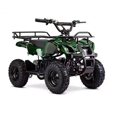 전기 ATV 500W 800W 4 휠어 쿼드 사이클 어린이 오프로드 모험 및 모험