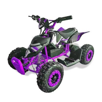 체인 드라이브 변속기 미니 키즈 전기 500W 800W ATV 및 UTV