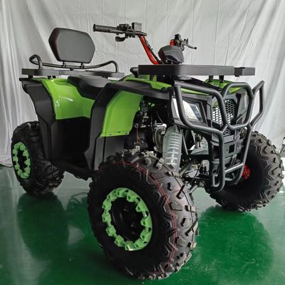 250cc 배량 4타크 공기 냉각 가솔린 ATV 오토바이 2WD 운전 재미