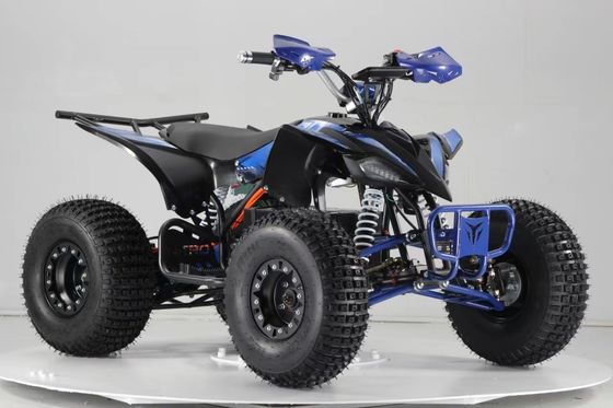 아오탱 모터 전기 전력 장거리 1500W 성인 쿼드 4x4 미니 전기 ATV 쿼드
