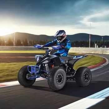 1500W 친환경 4WD 충전시간 h 7-9h 산과 해변에 적합합니다
