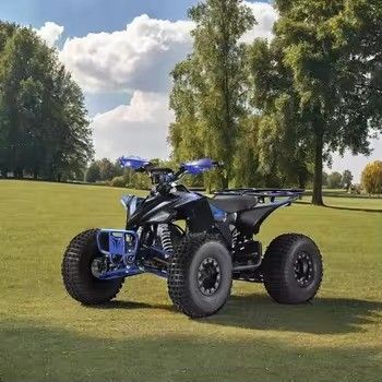 1500W 친환경 4WD 충전시간 h 7-9h 산과 해변에 적합합니다