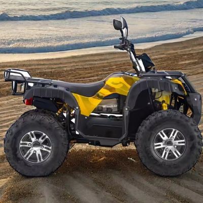 최대 속도 50~75km/h 4WD와 60v 자동 변속기와 3000W 전기 ATV