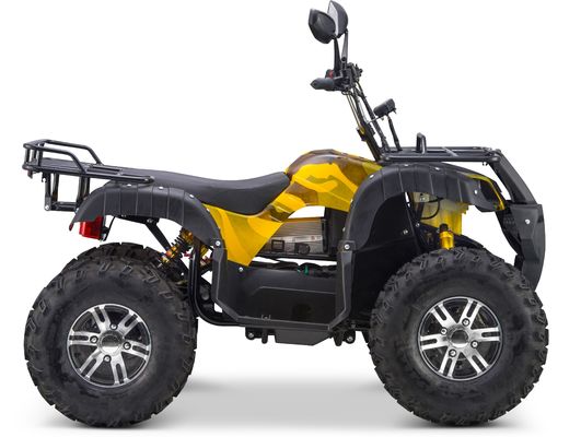 스위치 가능한 2WD/4WD 운전형 72V 전기 쿼드 ATV 농장용 차량 버그 7-9h 충전 시간