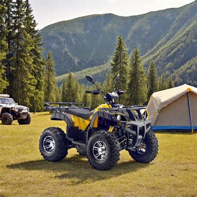 다재다능한 60V 72V 전기 쿼드 ATV 농장용 차량 부기 1800-2200mm 휠베이스