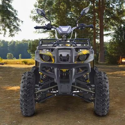 강력한 3000W 1500W 4WD 4x4 모토 ATV UTV 1000cc 쿼드 ATV 휠베이스 1800-2200mm