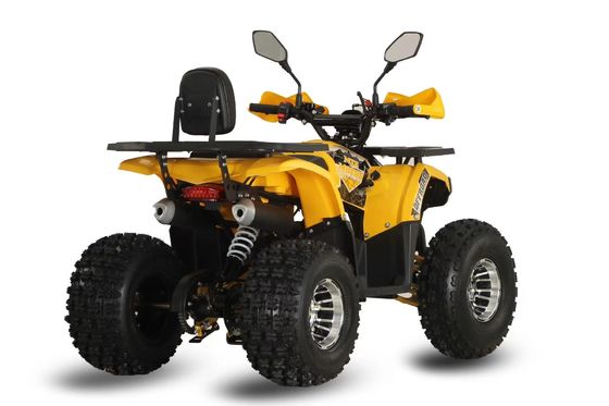 성인용 125cc Farm Quads ATV 강력 가스 / 디젤 엔진 및 체인 드라이브