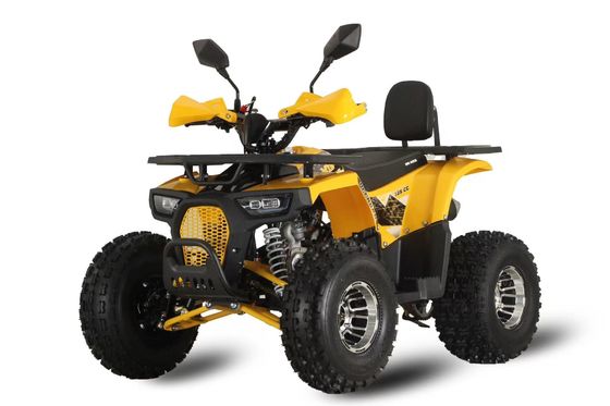 맞춤형 지원 색상 강력 125 cc 체인 드라이브 성인용 가스 경주 ATV