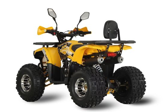맞춤형 지원 색상 강력 125 cc 체인 드라이브 성인용 가스 경주 ATV