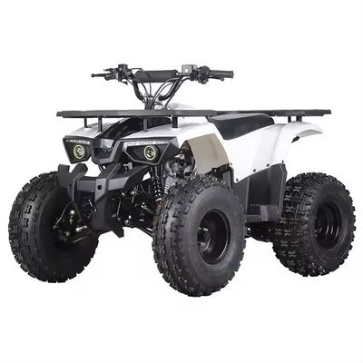 자동 변속기 Aotong 모터 110cc 125cc 150cc 성인용 쿠아트리모토 ATV