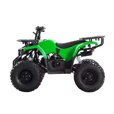 자동 변속기 Aotong 모터 110cc 125cc 150cc 성인용 쿠아트리모토 ATV