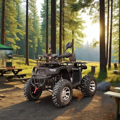 2WD 최대 속도 50-75Km/h 125cc 150cc 200cc ATV 오프로드 UTV 쿠아트리모토
