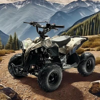 가스 연료 110CC ATV 체인 드라이브 전송 시스템으로 구동