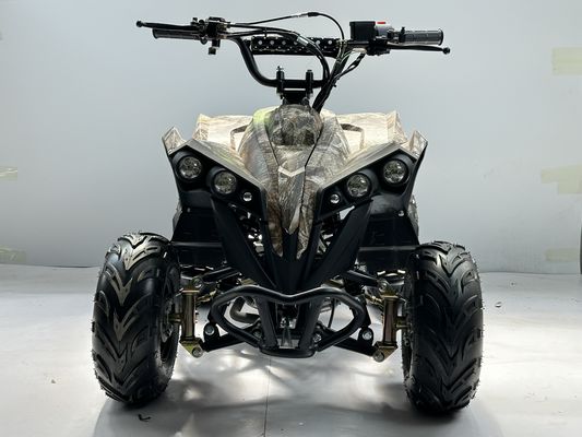 가스 연료 110CC ATV 체인 드라이브 전송 시스템으로 구동