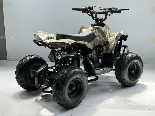 가스 연료 110CC ATV 체인 드라이브 전송 시스템으로 구동