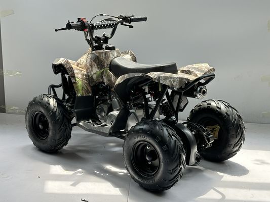 가스 연료 110CC ATV 체인 드라이브 전송 시스템으로 구동