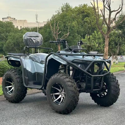 직선 300cc 350cc 4x4 ATV 전력 전송 시스템과 25x8-12/25x10-12 타이어