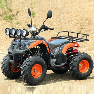 110cc 125cc ATV 저렴한 자동 체인 드라이브