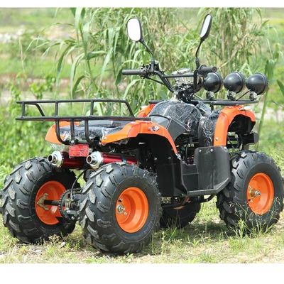 110cc 125cc ATV 저렴한 자동 체인 드라이브